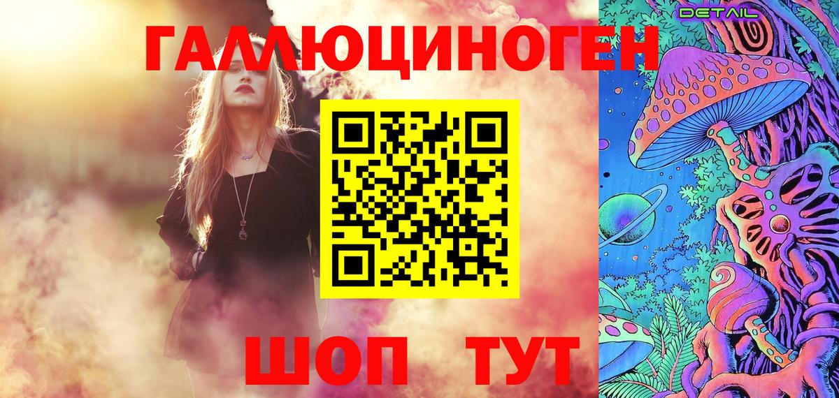 Тулун  Галлюциногенные грибы Psilocybine cubensis  дарнет шоп  Вход с VPN 